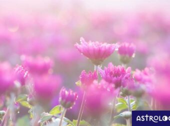 Διάβασε ΔΩΡΕΑΝ την προσωπική σου πρόβλεψη, για σήμερα 30/05/2023