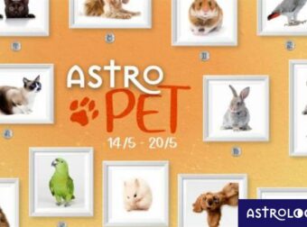 AstroPet από 14/05 έως 20/05: Εβδομαδιαίες προβλέψεις για το κατοικίδιό σου