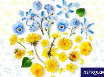 Εβδομαδιαίες προβλέψεις από 28/05 έως 03/06: Στενά περιθώρια