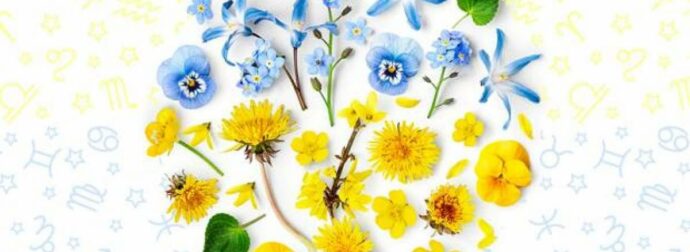 Εβδομαδιαίες προβλέψεις από 28/05 έως 03/06: Στενά περιθώρια