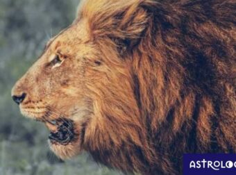 Άρης στον Λέοντα: Ρίξε μια ζαριά καλή!