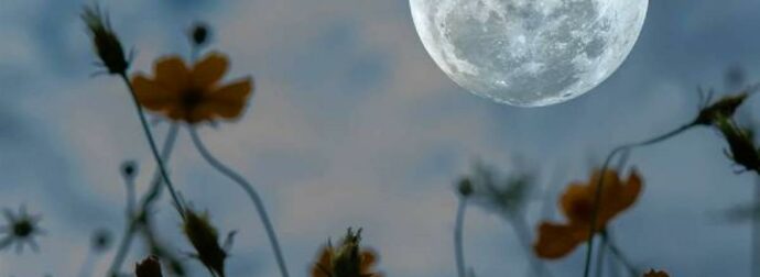 Πανσέληνος-Έκλειψη στο Σκορπιό: Τα ζώδια που θα βρεθούν σε κρίσιμη καμπή