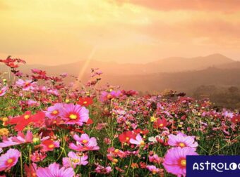 Μάιος 2023: Όλα όσα πρέπει να γνωρίζεις για τους πλανήτες και τα ζώδια