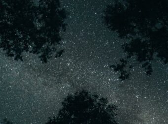 Η Αφροδίτη στον Καρκίνο: Τι θα πάθουν Κριοί, Καρκίνοι, Ζυγοί και 1 ακόμη ζώδιο