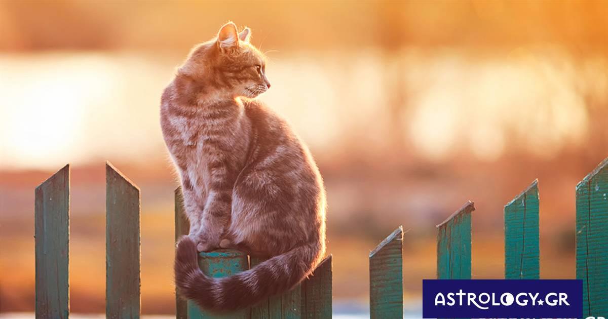 Διάβασε ΔΩΡΕΑΝ την προσωπική σου πρόβλεψη, για σήμερα 02/06/2023