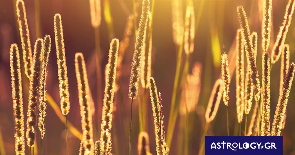 Διάβασε ΔΩΡΕΑΝ την προσωπική σου πρόβλεψη, για σήμερα 03/06/2023