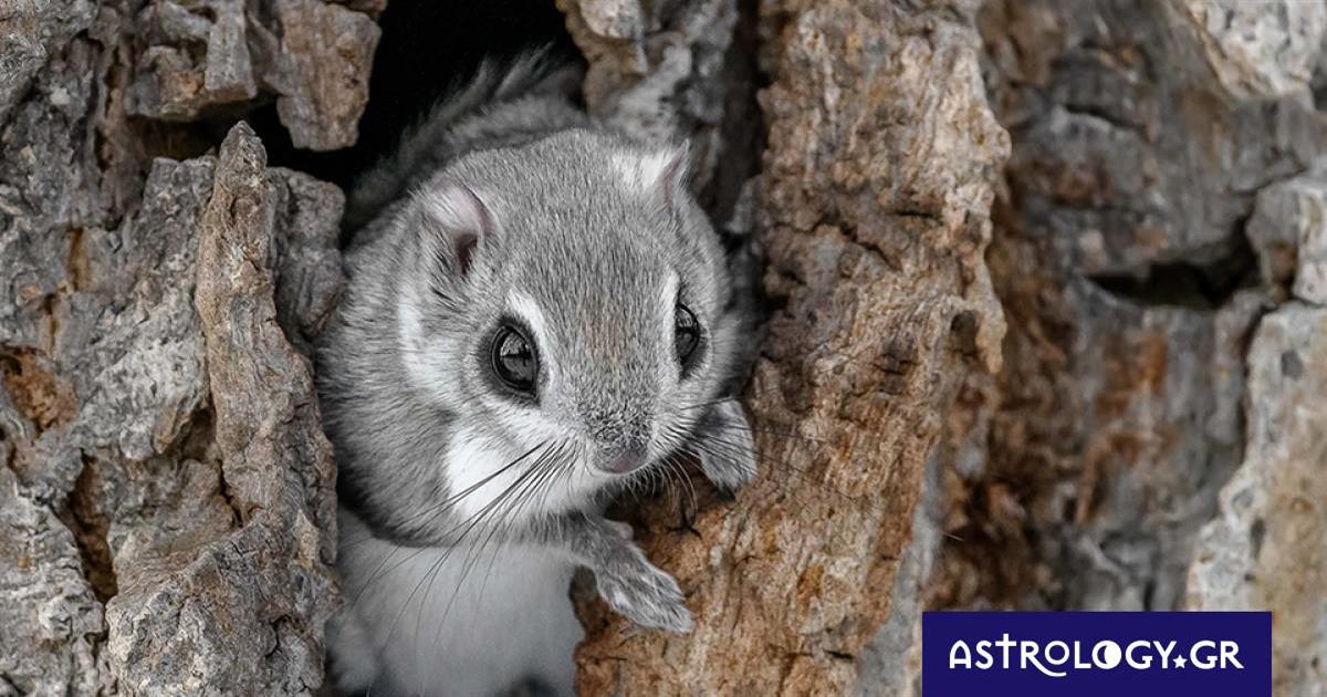Διάβασε ΔΩΡΕΑΝ την προσωπική σου πρόβλεψη, για σήμερα 22/06/2023