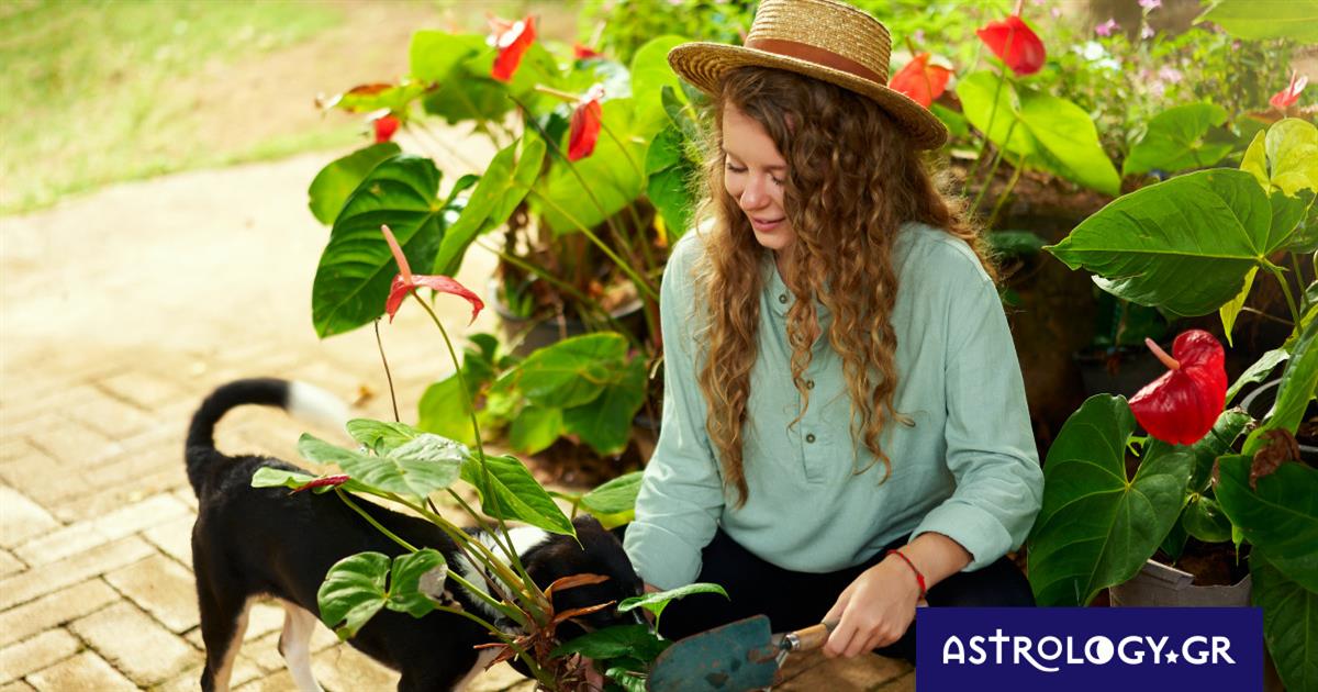 Ζώδια Σήμερα 24/06: Σε χαλαρό, διασκεδαστικό κλίμα