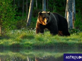 Διάβασε ΔΩΡΕΑΝ την προσωπική σου πρόβλεψη, για σήμερα 04/06/2023