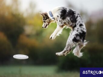 Διάβασε ΔΩΡΕΑΝ την προσωπική σου πρόβλεψη, για σήμερα 06/06/2023