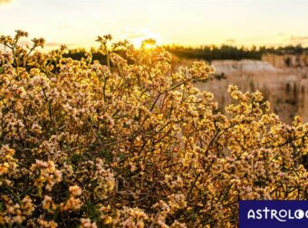 Διάβασε ΔΩΡΕΑΝ την προσωπική σου πρόβλεψη, για σήμερα 07/06/2023