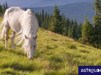 Διάβασε ΔΩΡΕΑΝ την προσωπική σου πρόβλεψη, για σήμερα 08/06/2023
