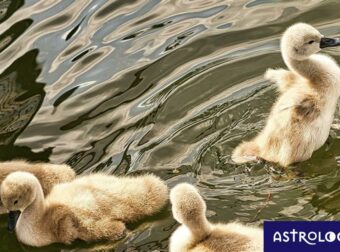 Διάβασε ΔΩΡΕΑΝ την προσωπική σου πρόβλεψη, για σήμερα 10/06/2023
