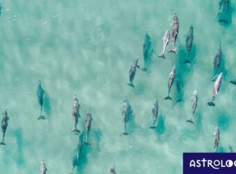 Διάβασε ΔΩΡΕΑΝ την προσωπική σου πρόβλεψη, για σήμερα 14/06/2023