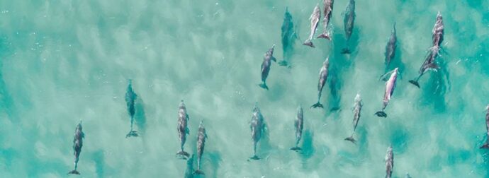 Διάβασε ΔΩΡΕΑΝ την προσωπική σου πρόβλεψη, για σήμερα 14/06/2023