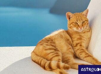 Διάβασε ΔΩΡΕΑΝ την προσωπική σου πρόβλεψη, για σήμερα 18/06/2023