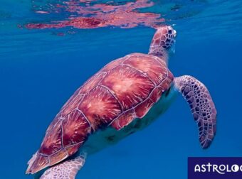 Διάβασε ΔΩΡΕΑΝ την προσωπική σου πρόβλεψη, για σήμερα 20/06/2023
