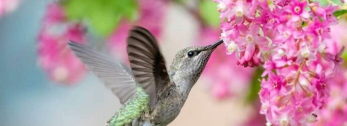 Διάβασε ΔΩΡΕΑΝ την προσωπική σου πρόβλεψη, για σήμερα 23/04/2023