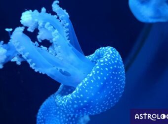 Διάβασε ΔΩΡΕΑΝ την προσωπική σου πρόβλεψη, για σήμερα 24/06/2023