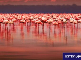 Διάβασε ΔΩΡΕΑΝ την προσωπική σου πρόβλεψη, για σήμερα 29/06/2023