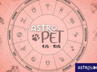 AstroPet από 04/06 έως 10/06: Εβδομαδιαίες προβλέψεις για το κατοικίδιό σου