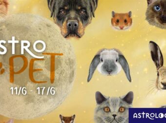 AstroPet από 11/06 έως 17/06: Εβδομαδιαίες προβλέψεις για το κατοικίδιό σου