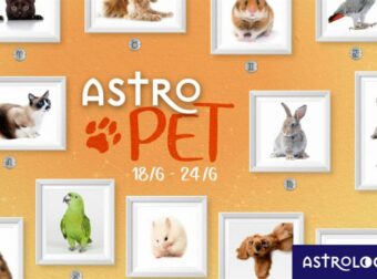 AstroPet από 18/06 έως 24/06: Εβδομαδιαίες προβλέψεις για το κατοικίδιό σου
