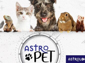 AstroPet από 25/06 έως 01/07: Εβδομαδιαίες προβλέψεις για το κατοικίδιό σου