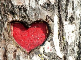 Full in love για 5 ζώδια: Ο έρωτας γίνεται ο πρωταγωνιστής για 4 μήνες με την Αφροδίτη στο Λέοντα!