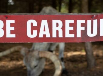 Ο Δίας στον Ταύρο και ο Κρόνος στον Ιχθύ: Αυτά τα 4 συγκεκριμένα ζώδια ευνοούνται μέχρι τέλη Ιουνίου