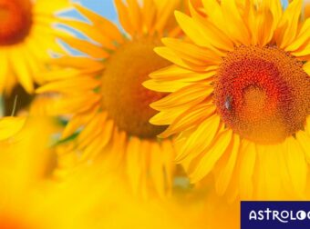 Διάβασε ΔΩΡΕΑΝ την προσωπική σου πρόβλεψη, για σήμερα 01/07/2023