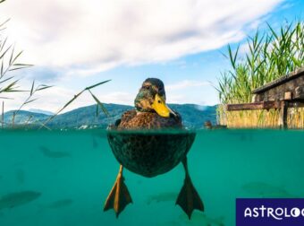 Διάβασε ΔΩΡΕΑΝ την προσωπική σου πρόβλεψη, για σήμερα 08/07/2023