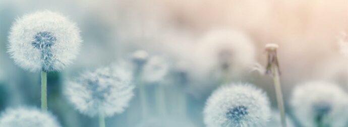 Διάβασε ΔΩΡΕΑΝ την προσωπική σου πρόβλεψη, για σήμερα 09/07/2023