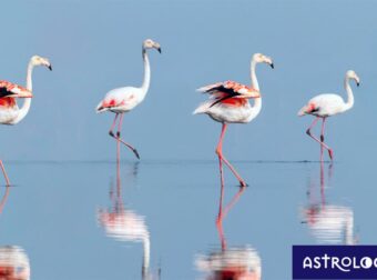 Διάβασε ΔΩΡΕΑΝ την προσωπική σου πρόβλεψη, για σήμερα 10/07/2023