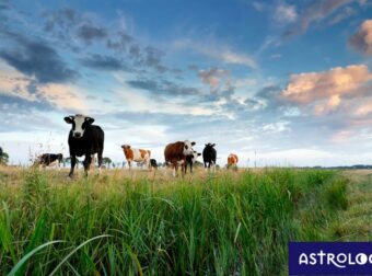 Διάβασε ΔΩΡΕΑΝ την προσωπική σου πρόβλεψη, για σήμερα 12/07/2023
