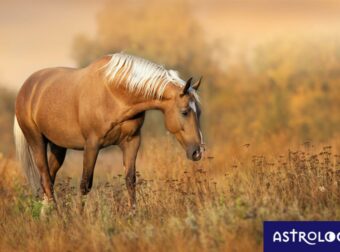 Διάβασε ΔΩΡΕΑΝ την προσωπική σου πρόβλεψη, για σήμερα 14/07/2023