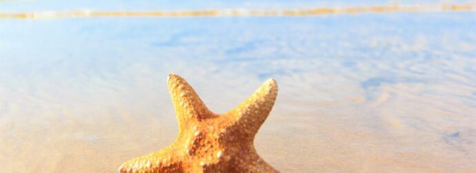 Διάβασε ΔΩΡΕΑΝ την προσωπική σου πρόβλεψη, για σήμερα 16/07/2023