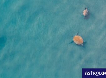 Διάβασε ΔΩΡΕΑΝ την προσωπική σου πρόβλεψη, για σήμερα 21/07/2023