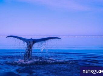 Διάβασε ΔΩΡΕΑΝ την προσωπική σου πρόβλεψη, για σήμερα 23/07/2023