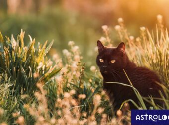 Διάβασε ΔΩΡΕΑΝ την προσωπική σου πρόβλεψη, για σήμερα 25/07/2023