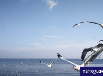 Διάβασε ΔΩΡΕΑΝ την προσωπική σου πρόβλεψη, για σήμερα 27/07/2023