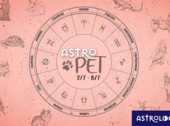 AstroPet από 02/07 έως 08/07: Εβδομαδιαίες προβλέψεις για το κατοικίδιό σου