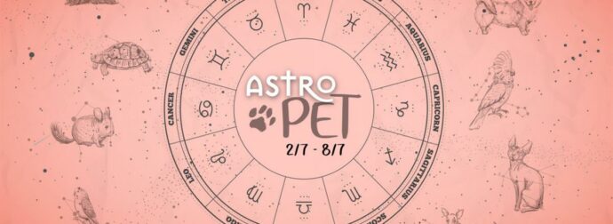 AstroPet από 02/07 έως 08/07: Εβδομαδιαίες προβλέψεις για το κατοικίδιό σου