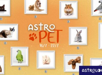 AstroPet από 16/07 έως 22/07: Εβδομαδιαίες προβλέψεις για το κατοικίδιό σου