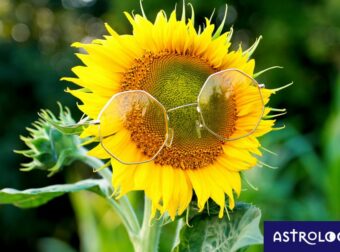Ζώδια Σήμερα 01/07: Με το δεξί