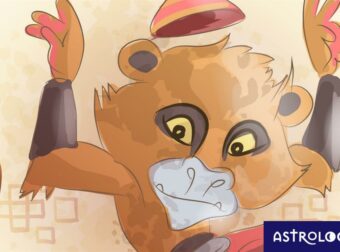 Κινέζικη Αστρολογία: Η καριέρα και τα οικονομικά του Πίθηκου