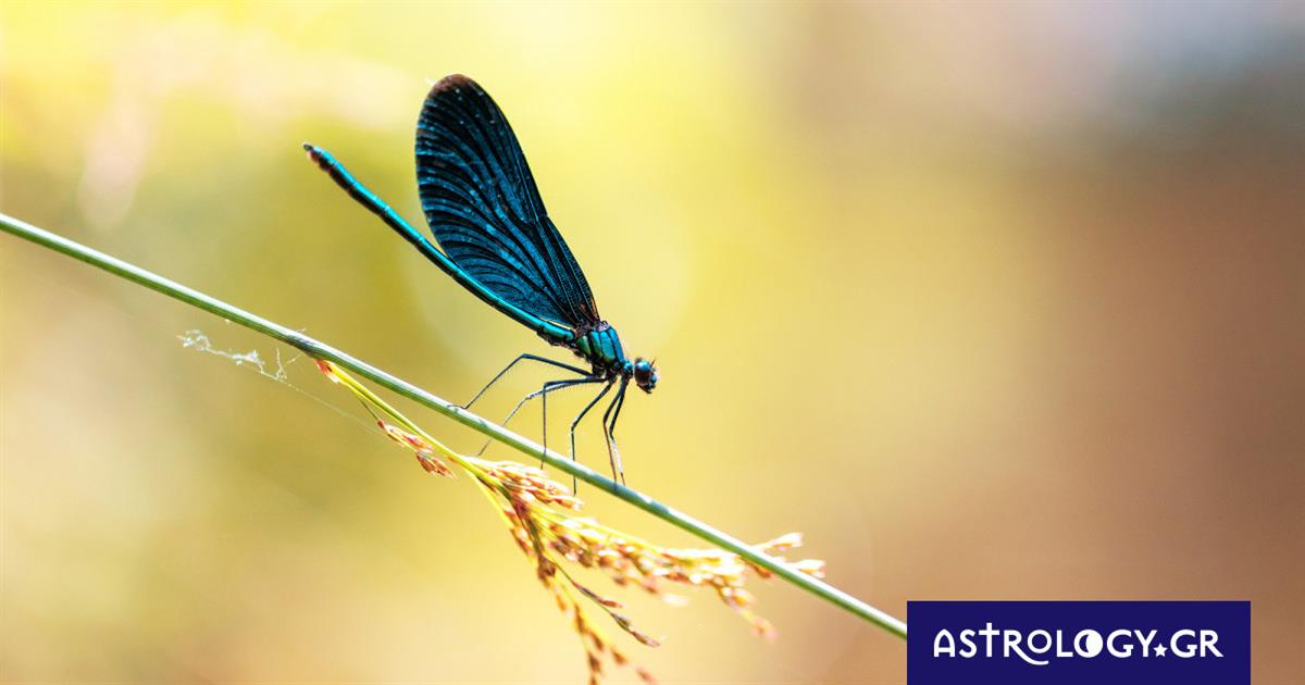 Διάβασε ΔΩΡΕΑΝ την προσωπική σου πρόβλεψη, για σήμερα 08/08/2023