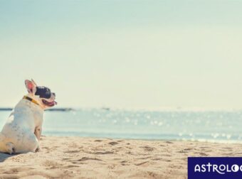 Διάβασε ΔΩΡΕΑΝ την προσωπική σου πρόβλεψη, για σήμερα 02/08/2023