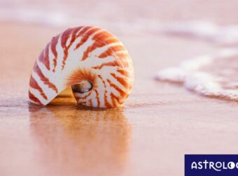 Διάβασε ΔΩΡΕΑΝ την προσωπική σου πρόβλεψη, για σήμερα 05/08/2023