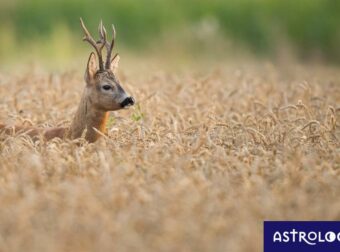 Διάβασε ΔΩΡΕΑΝ την προσωπική σου πρόβλεψη, για σήμερα 06/08/2023